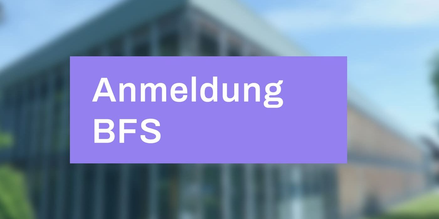 bslandsberg_anmeldung-bfs